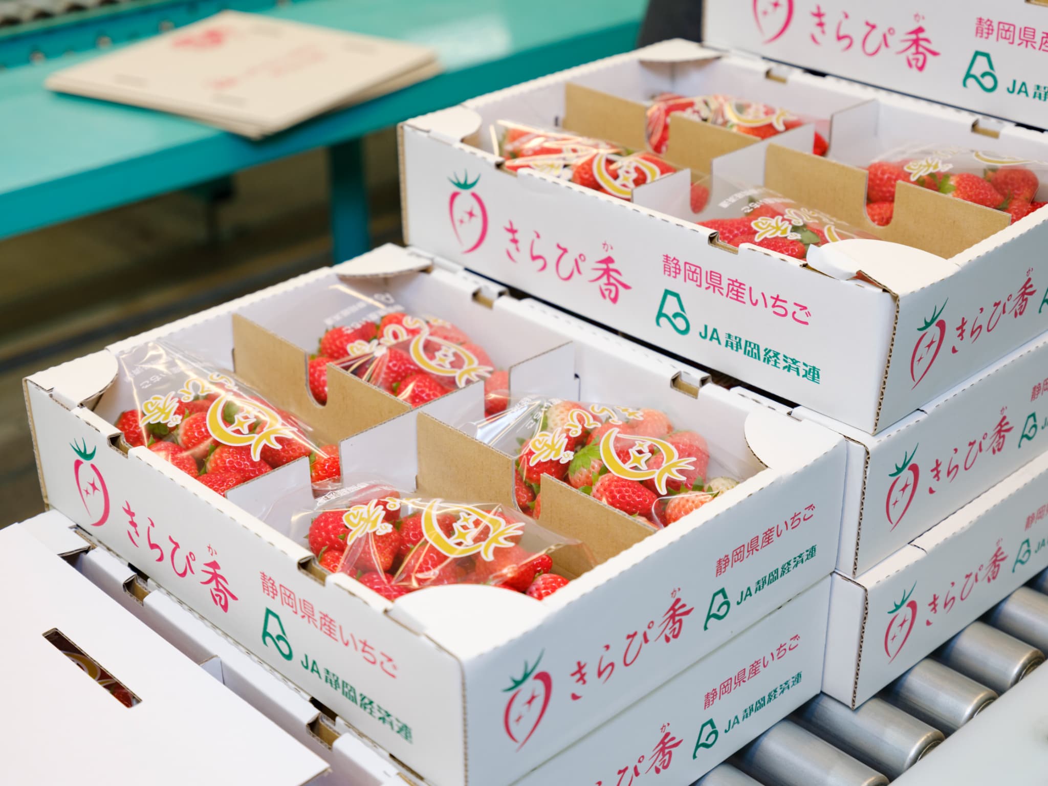 JAグリーンプラザ_伊豆の国_004.jpg