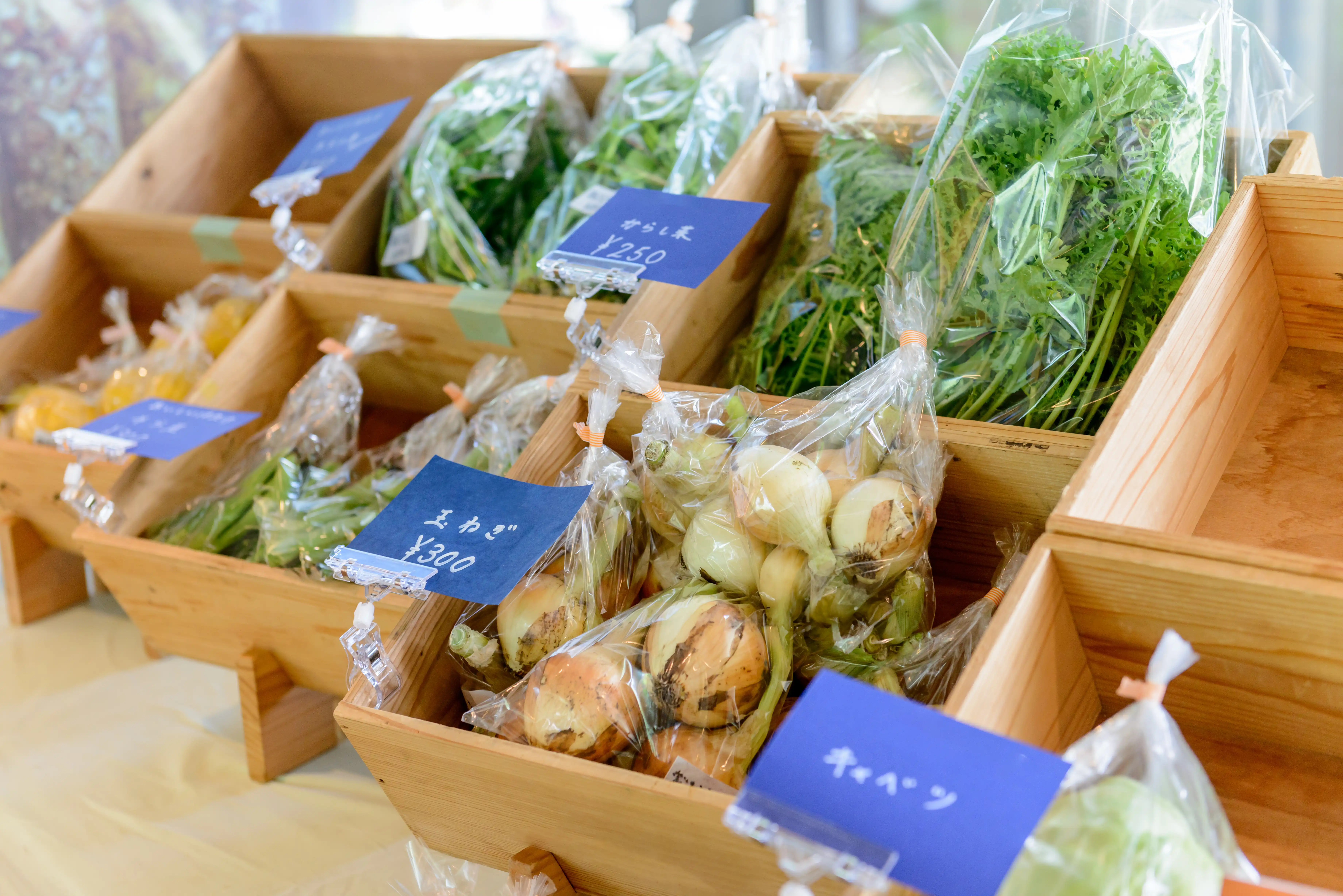 野菜を長持ちさせるコツとは？包装資材の正しい選び方