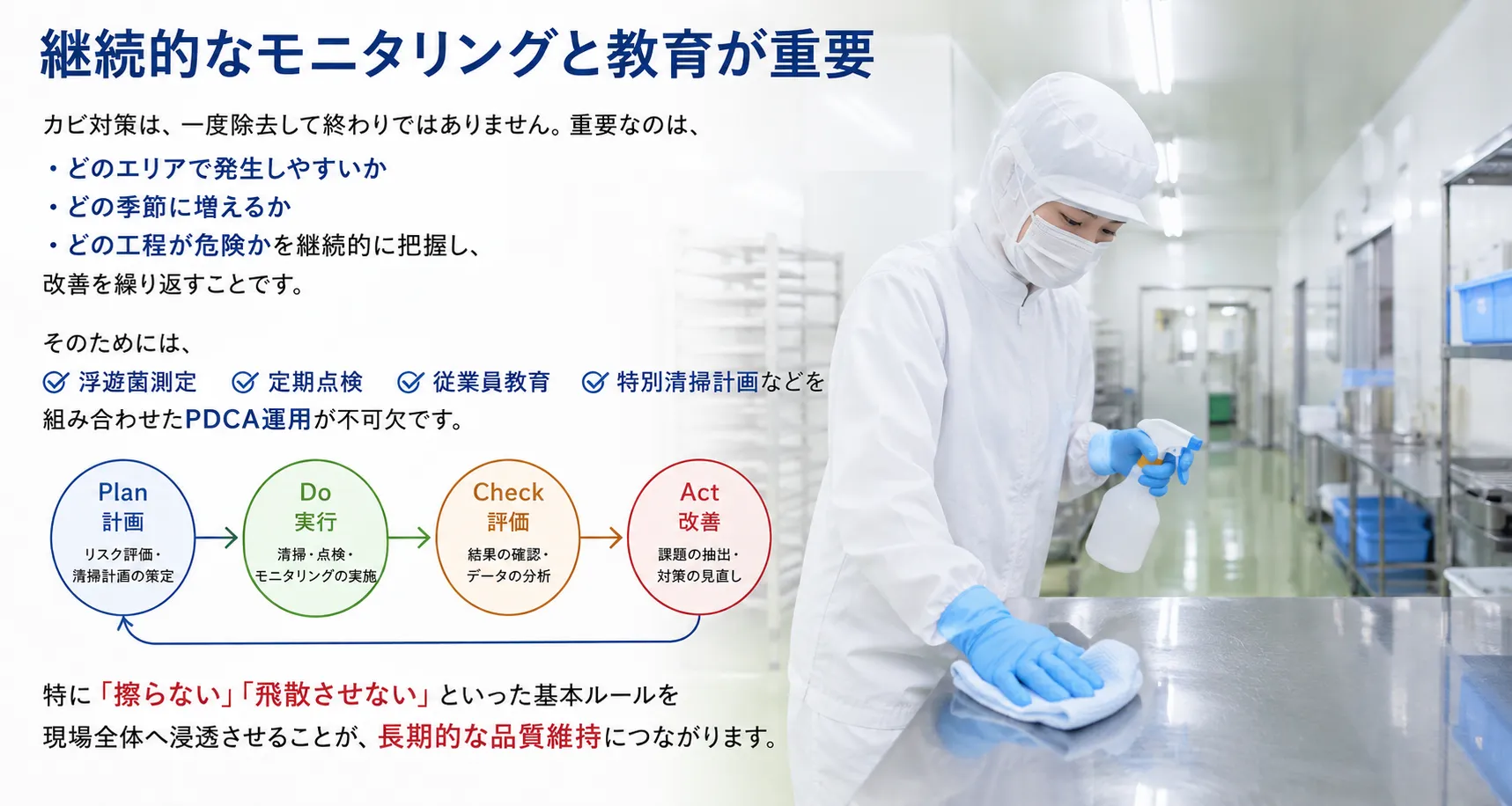 kabii6.webp