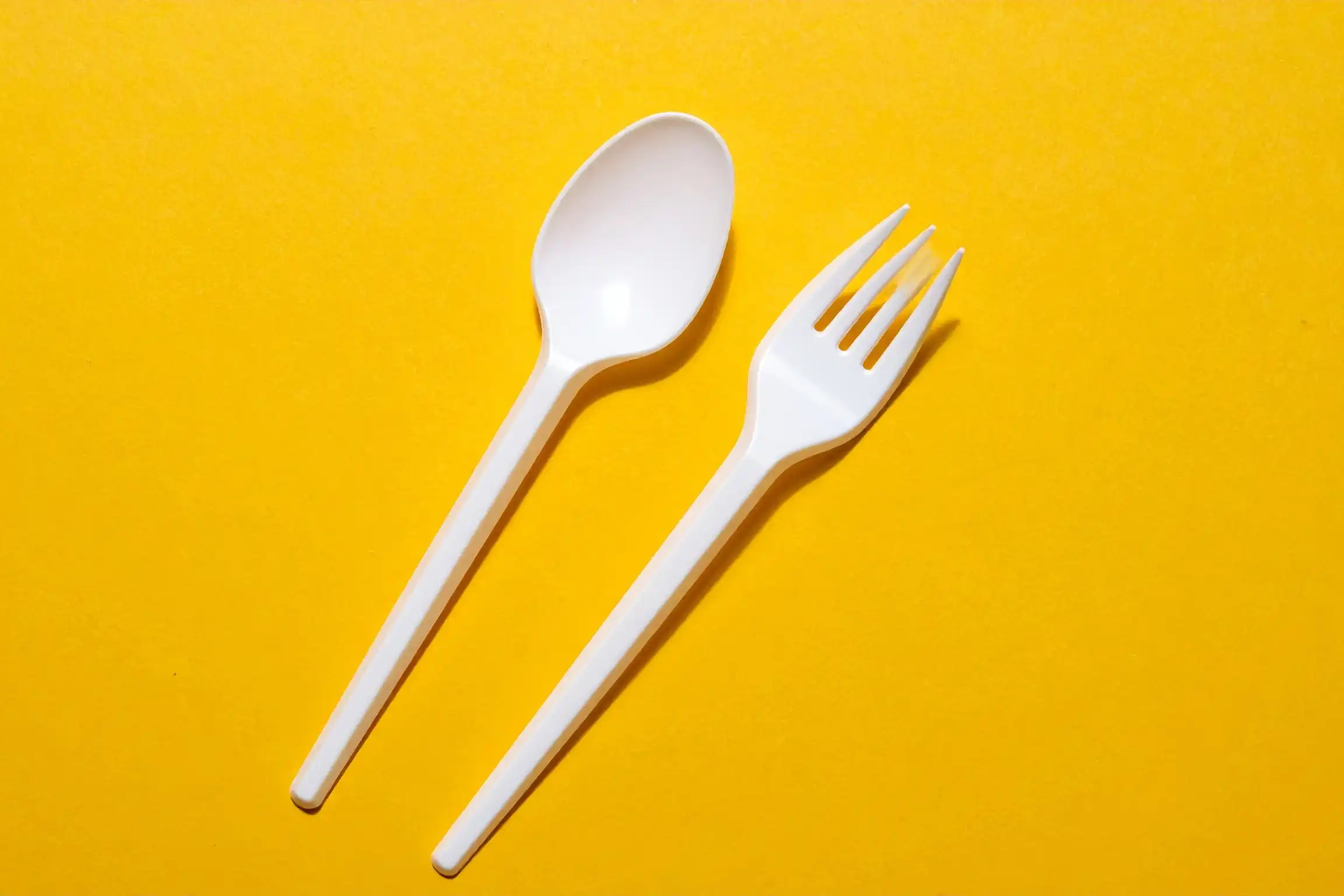 使い捨てカトラリーの今後とプラスチックごみ問題