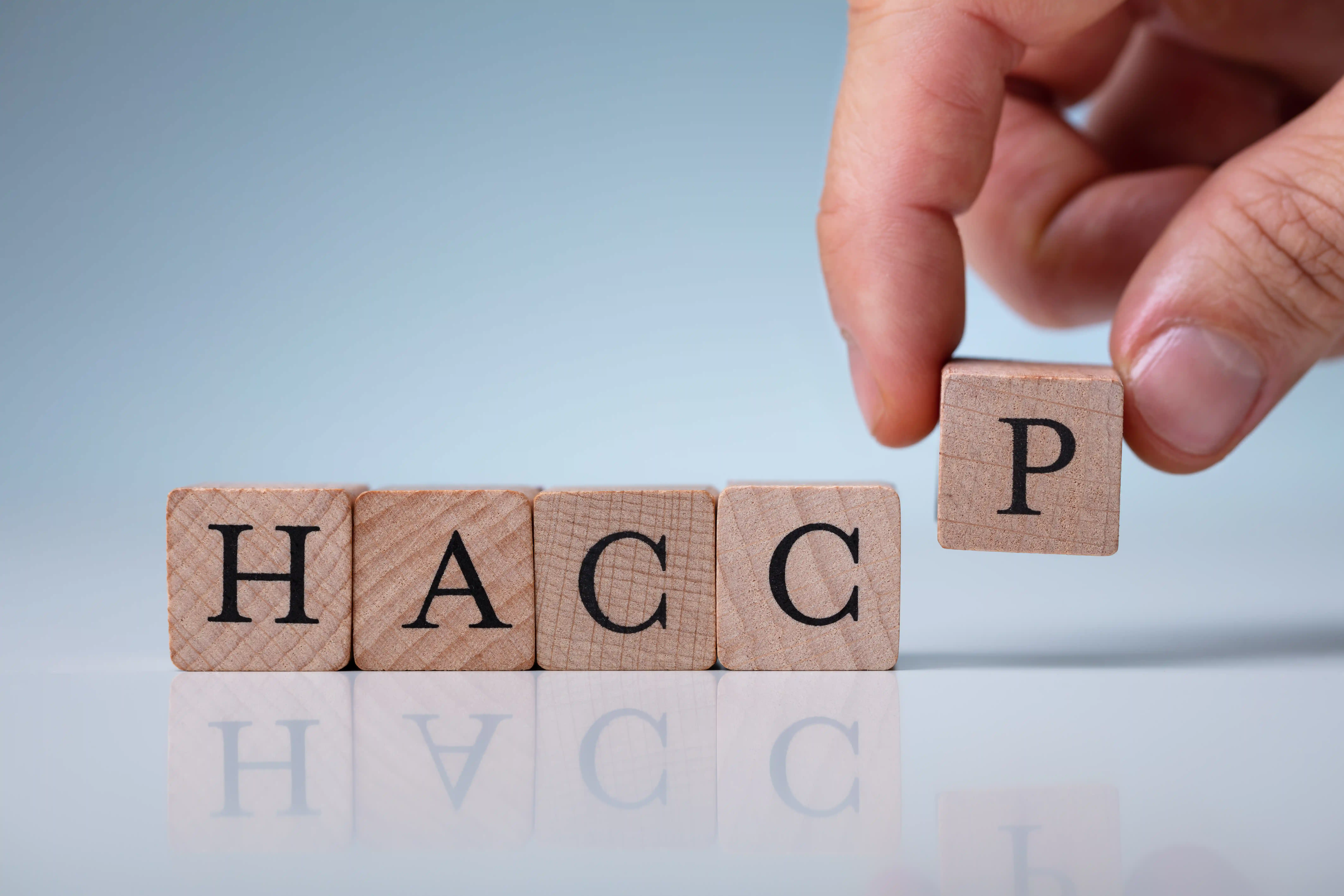 HACCPの区分とは？2つの区分と認証機関についてわかりやすく解説！