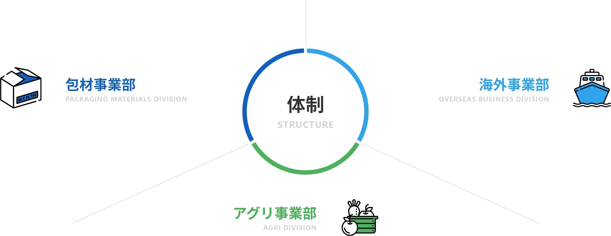 体制図 包材事業部、海外事業部、アグリ事業部