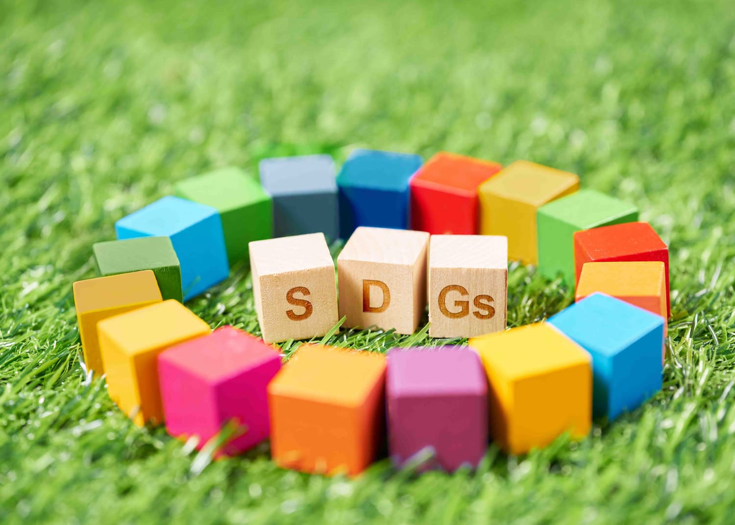 SDGs（持続可能な開発目標）とは？１７の目標と世界の取り組みをわかりやすく解説