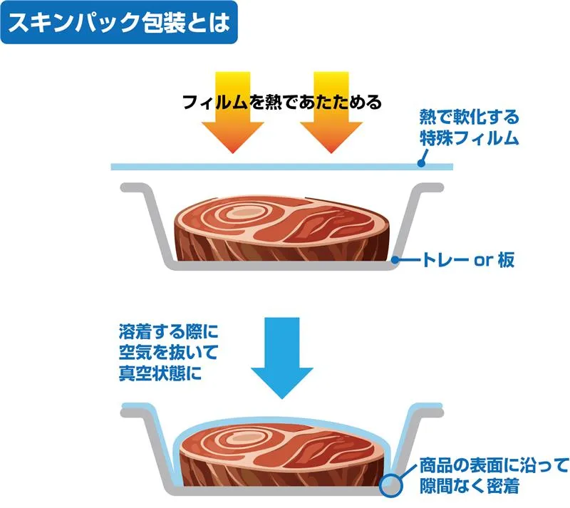 skin2.webp